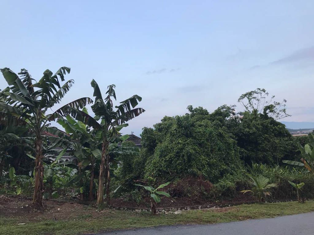 Lot Banglo Mutiara Bangi