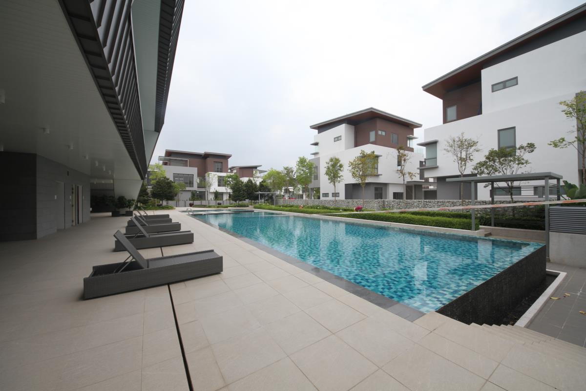 broadleaf kota kemuning