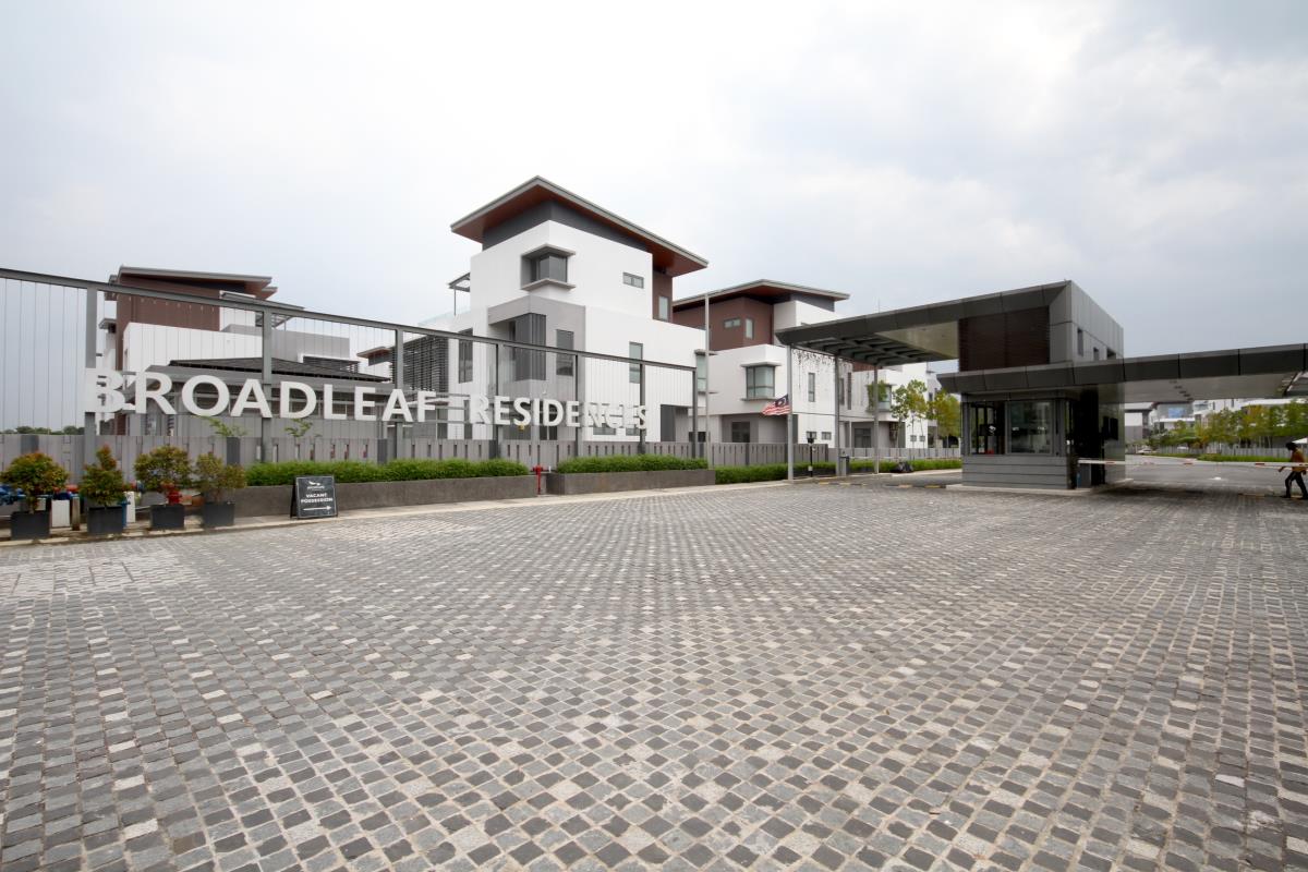 broadleaf kota kemuning